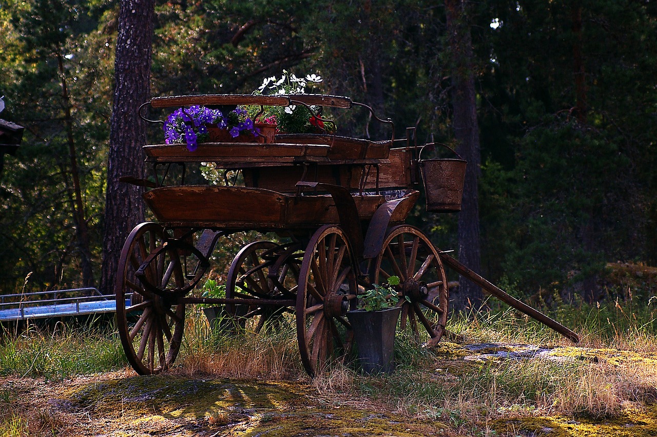 Levande Landskap Uppland evenemang